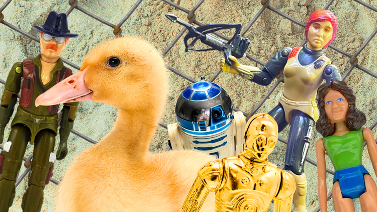 Duck
